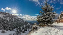 <b>4. </b>Amazing Snapshots of Winter in Lebanon