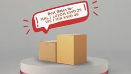 <b>3. </b>LBC End of 2019 Affordable Bundles for Sending Boxes to Philippines