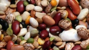 Why are beans good for diet?