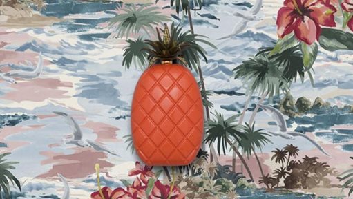 Valentino Pineapple Minaudiere photos and price