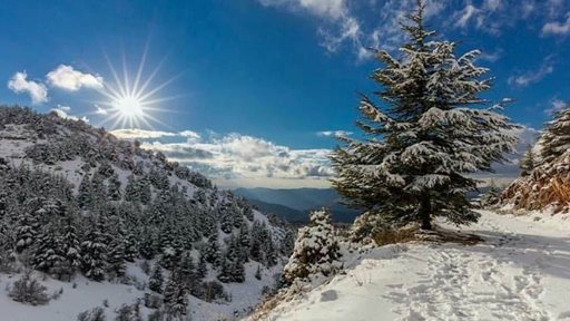 Amazing Snapshots of Winter in Lebanon