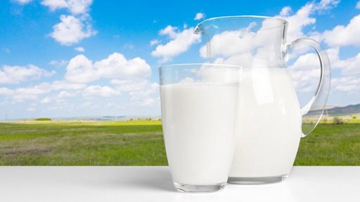 ما الفرق بين الحليب الخام والحليب المبستر؟