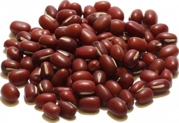 The importance of beans for a pregnant woman