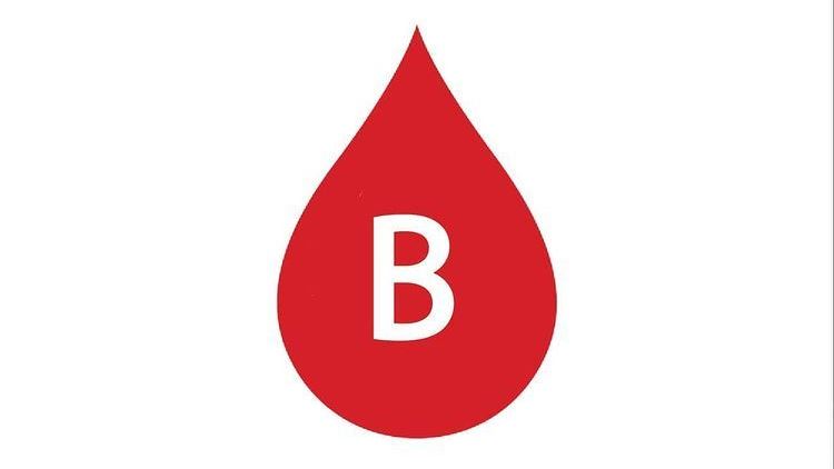 Blood group b foods